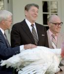 President Reagan Pardon's Turkey